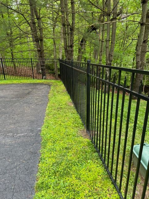 Black metal fence beside a paved path and bright green grass in a wooded yard
