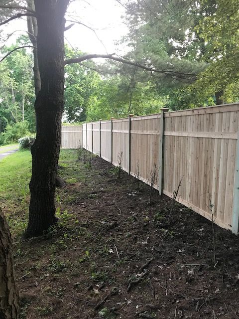 Wooded yard with a long wooden fence and a tree along a grassy, leaf-strewn edge.
