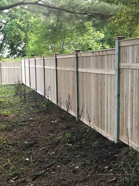 Wooden privacy fence along a muddy yard with overhanging green trees