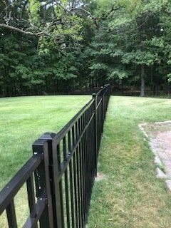 Black metal fence along a grassy yard with trees in the background