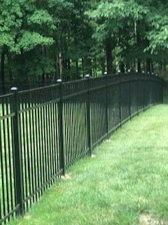 Black metal fence curves along a grassy lawn beside trees in a park.