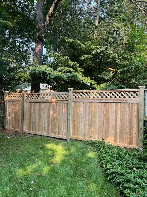 Wooden privacy fence in a leafy backyard with green grass and tall trees