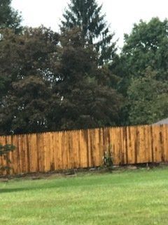 Wooden backyard fence with tall evergreen trees behind a green lawn.