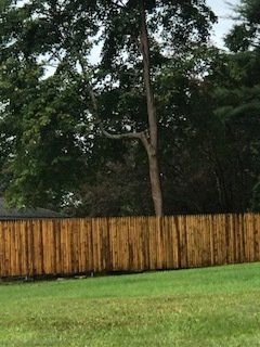 Wooden fence beside a grassy yard, with tall trees and dense greenery behind it.
