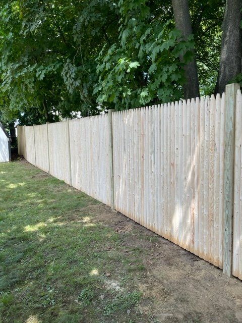 Wooden privacy fence along a grassy yard beside tall trees