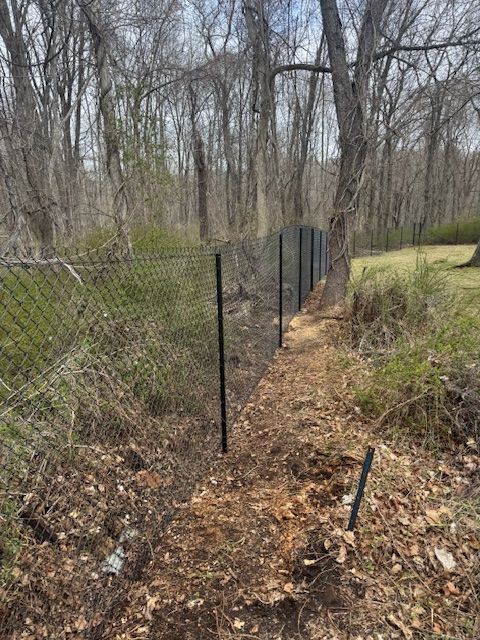 Chain-link fence along a wooded trail beside leaf-covered ground and bare trees.