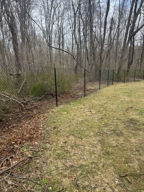 Black metal fence along a grassy yard edge beside leafless woods in late winter.