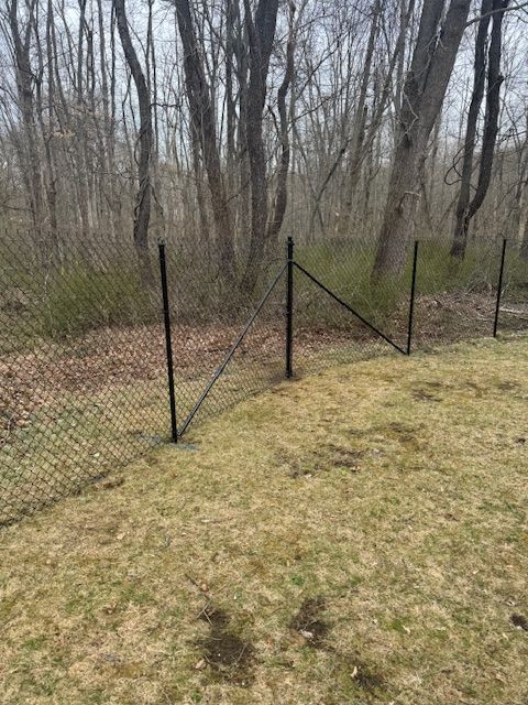 Black chain-link fence along a grassy edge beside leafless woods