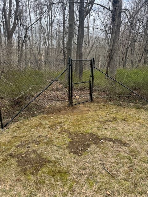 Chain-link gate in a wooded area with leafless trees and mossy ground