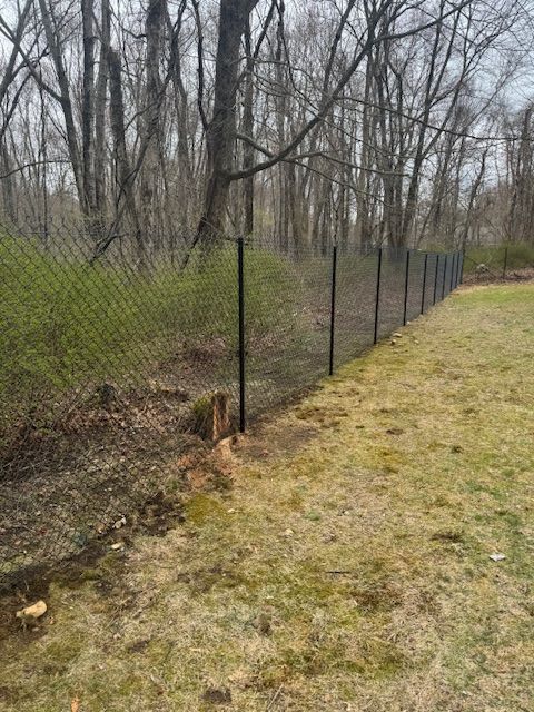 Black wire fence beside a grassy path along a wooded area with bare trees