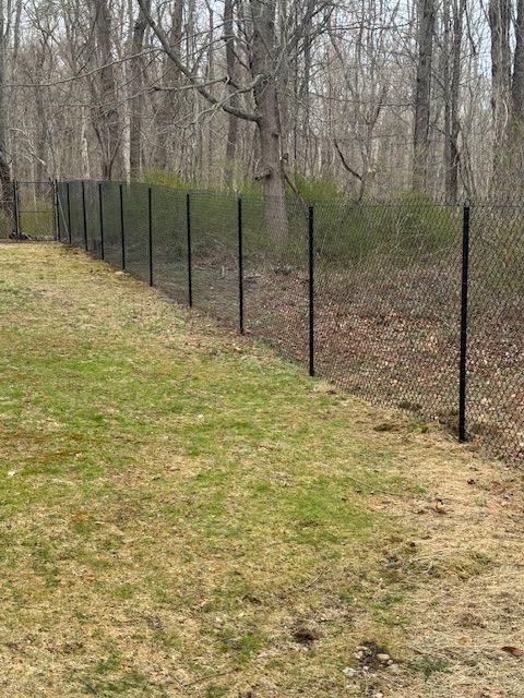 Black chain-link fence along a leafless wooded path in early spring.
