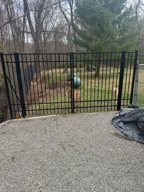 Black metal fence in a wooded yard with a green hanging object and gravel foreground