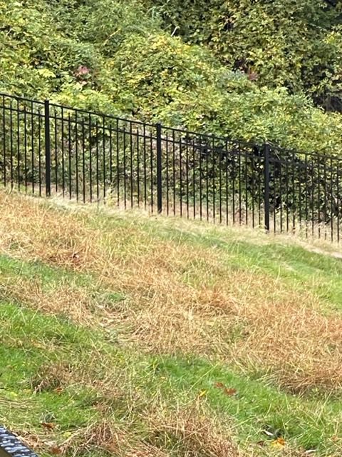 Black metal fence along a grassy hillside with dense green bushes behind it