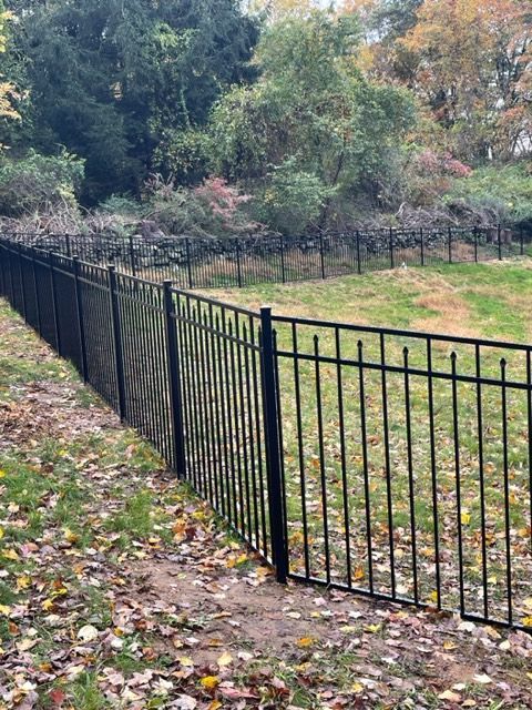 Black metal fence bordering a grassy park with fallen autumn leaves and trees in the background