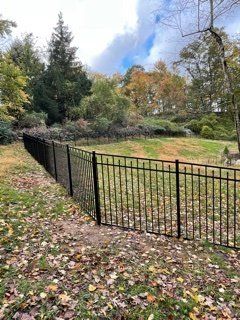 Black metal fence along a leaf-covered path beside a grassy field and trees under a cloudy sky