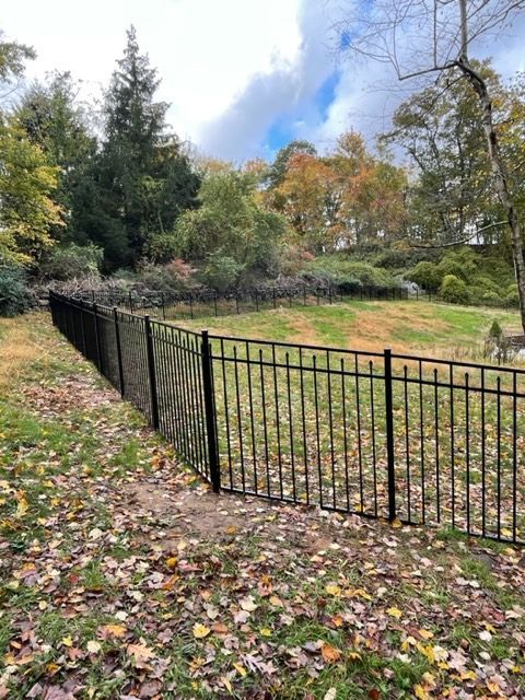 Black metal fence along a leaf-covered grassy park edge with trees and cloudy sky in autumn