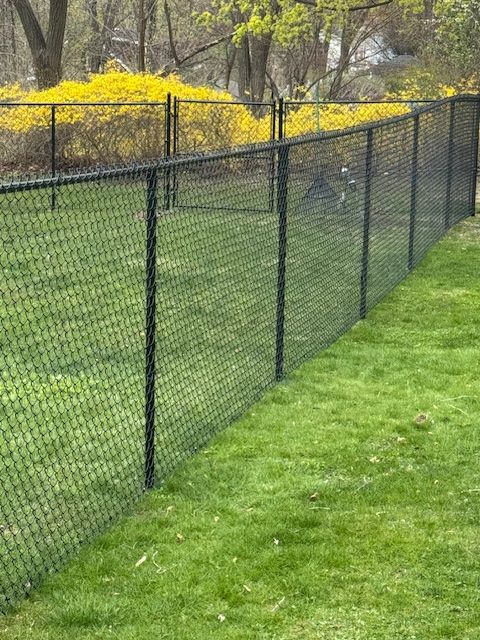 Black chain-link fence along a green lawn beside yellow flowering shrubs and trees