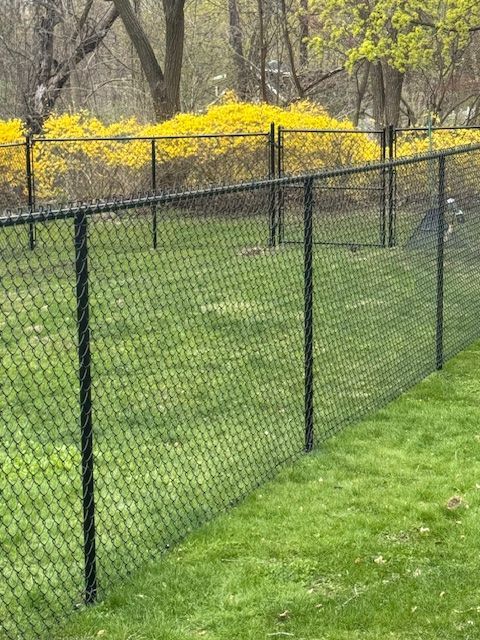 Black chain-link fence along a green lawn with yellow flowers and bare trees in the background