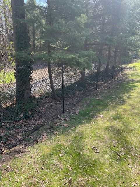 Chain-link fence along a wooded path beside a grassy verge in daylight