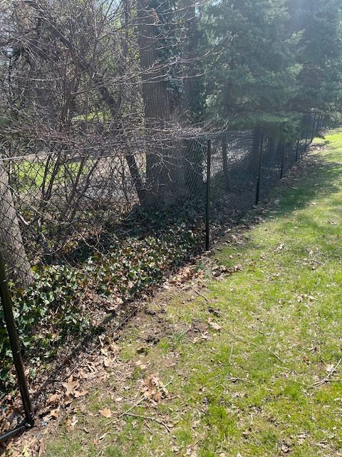 Black metal fence beside a grassy path with trees and brush in bright sunlight