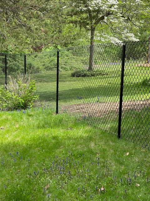 Black wire fence in a green grassy yard with trees and a patch of dirt; small bush on the left.
