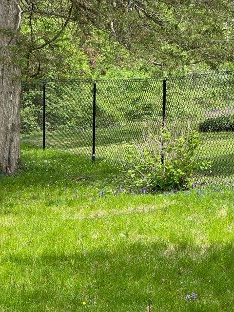 Grassy yard with trees and a black chain-link fence in the background