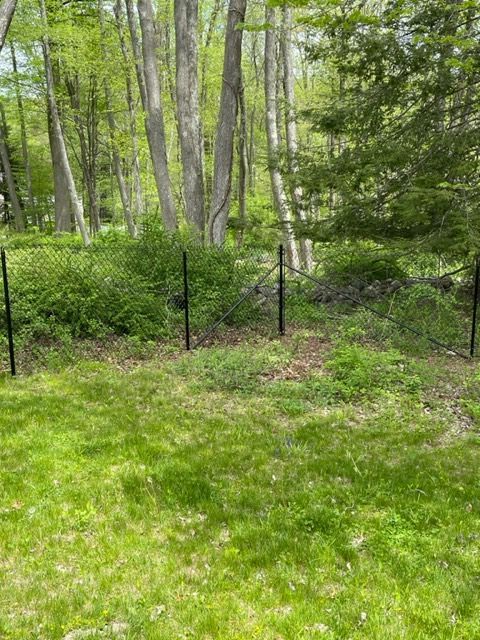 Grassy yard with black chain-link fence and tall trees in a wooded area