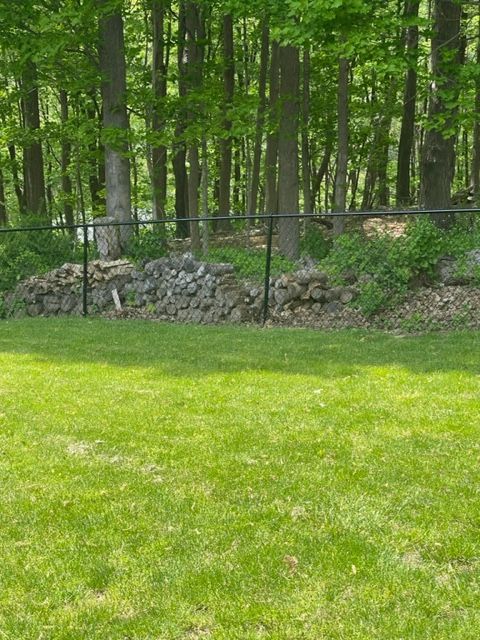 Grassy lawn before a stone wall and metal fence, with tall green trees in the background