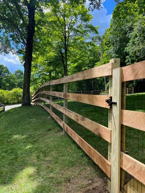 Curved wooden fence along a grassy path beneath tall green trees on a sunny day