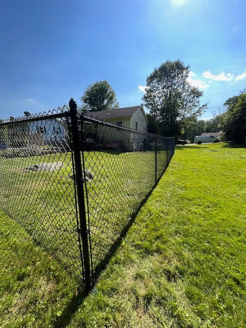 Black chain-link fence running across a sunny grassy yard with a house and trees in the background