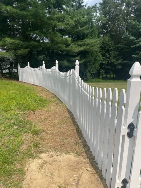 White picket fence curving along a grassy path beside tall evergreen trees