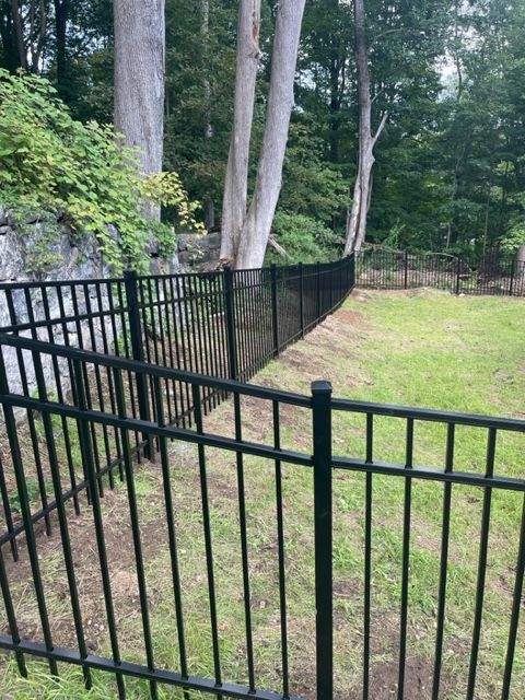 Black metal fence along a grassy yard beside tall trees in a wooded area