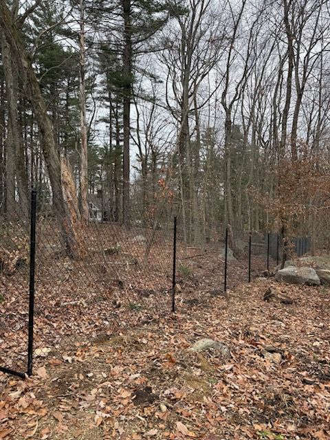 Leaf-covered wooded path lined with black metal fencing in a bare forest in late fall or winter