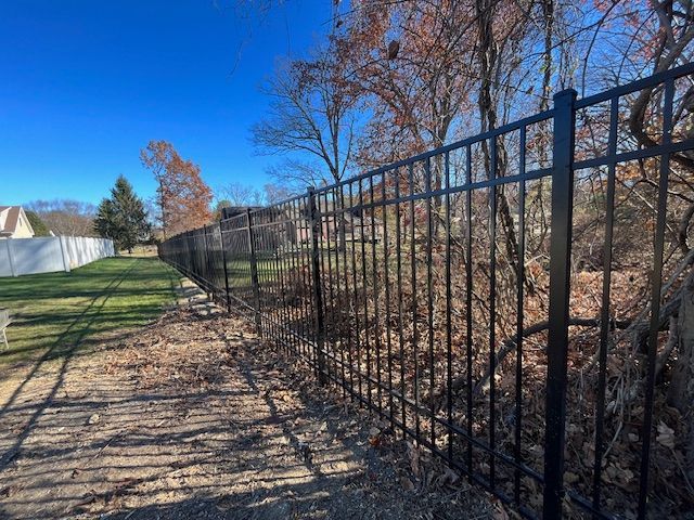 Black metal fence along a grassy path beside leafless trees under a bright blue sky
