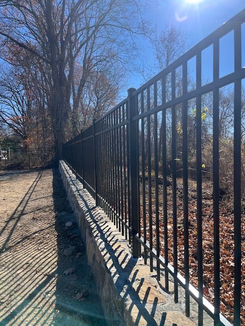 Black metal fence beside a sunlit path with trees and fallen leaves on a clear winter day