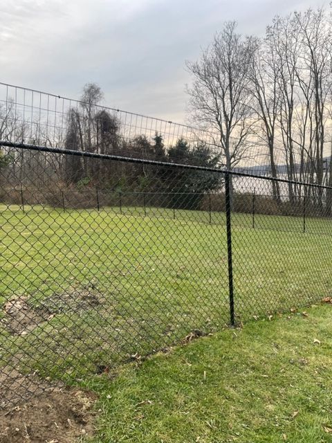 Chain-link fence beside a grassy field with bare trees under a cloudy sky