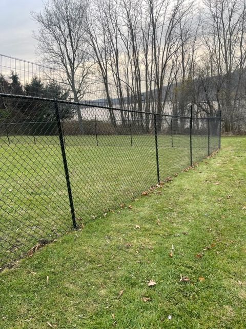 Chain-link fence along a grassy field with leafless trees and a cloudy sky
