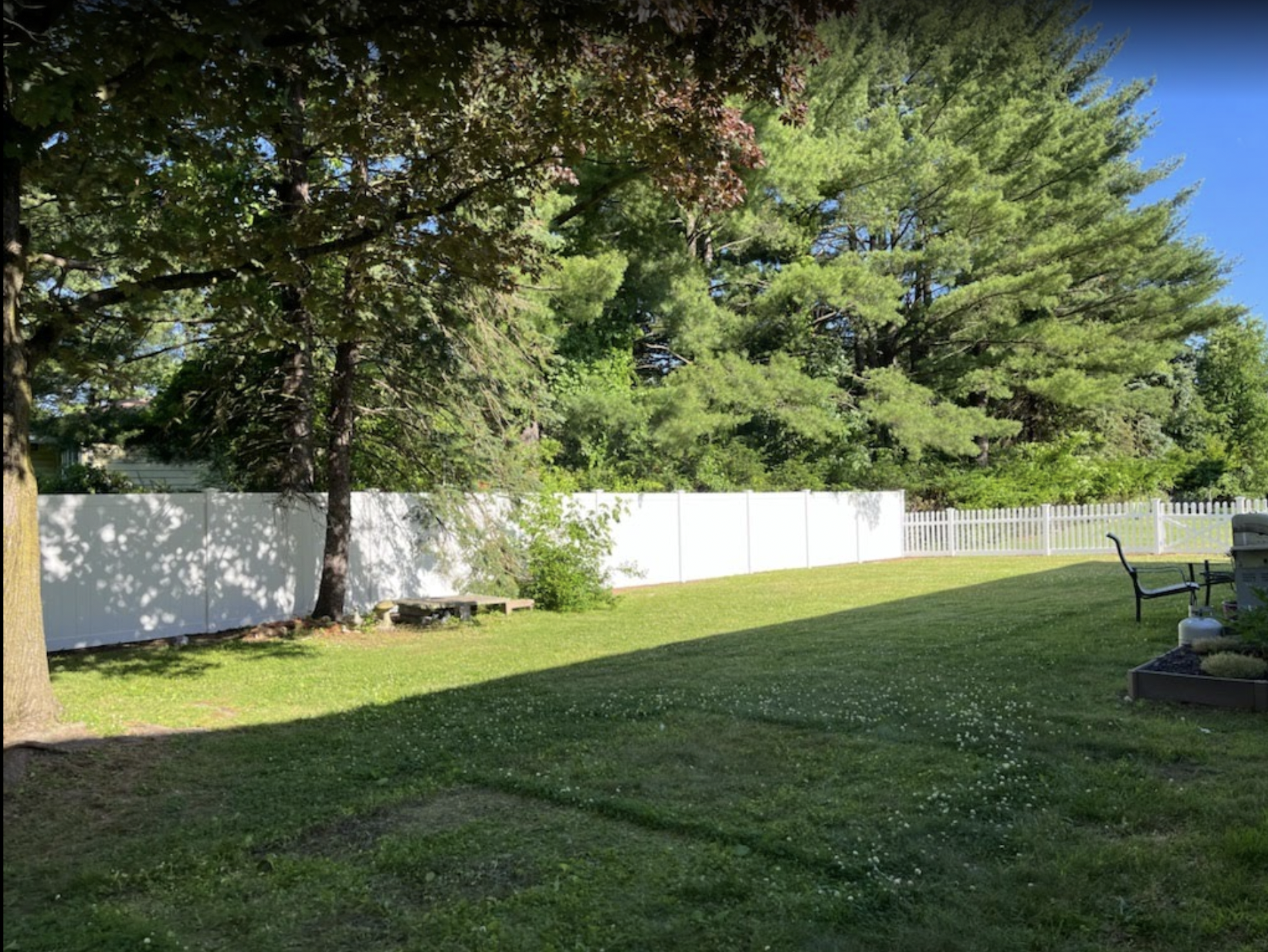 Backyard with green lawn, white fence, and tall trees in bright sunlight