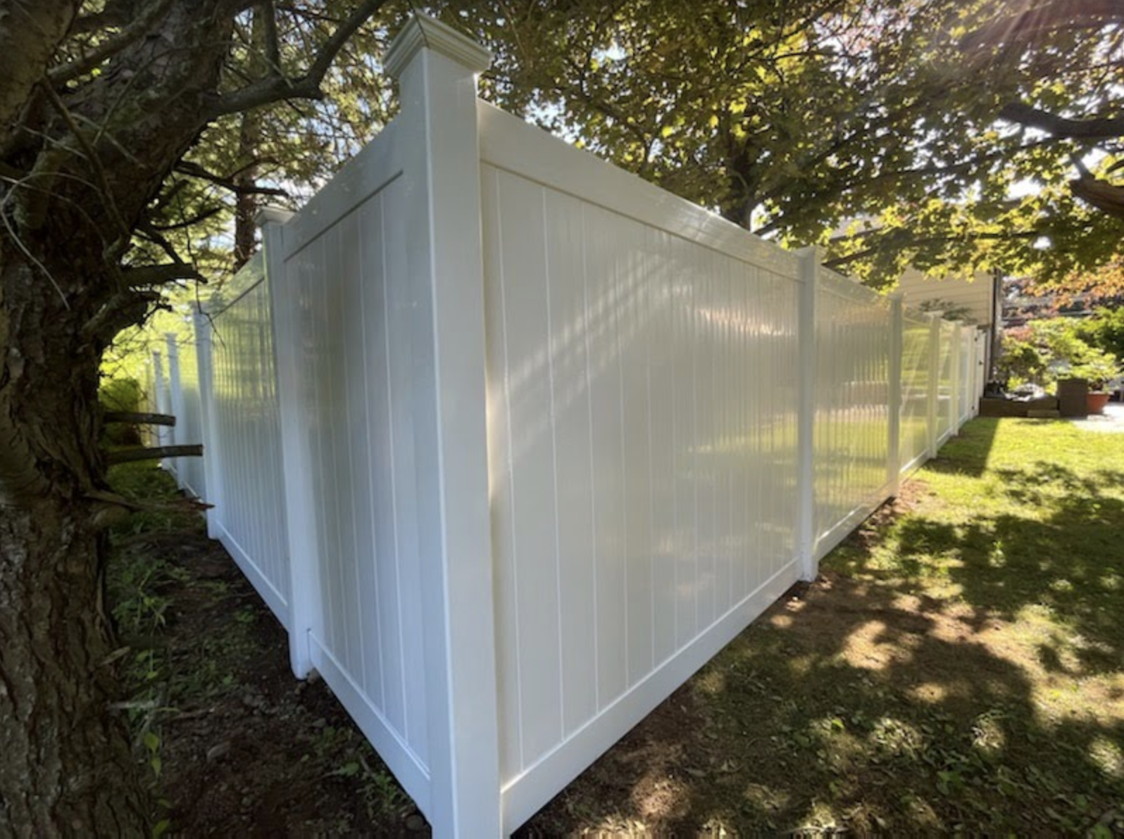 White vinyl privacy fence beside a grassy yard under trees, with sunlight filtering through.