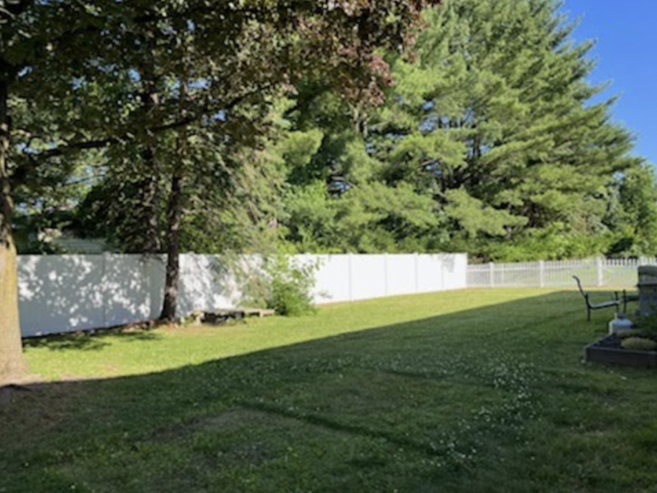 Grassy backyard with a white fence and tall green trees in bright sunlight