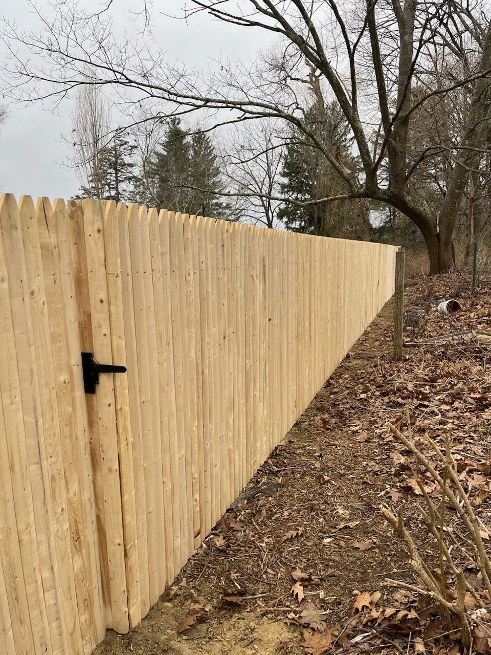 Wooden privacy fence along a leaf-covered hillside with bare trees in the background.