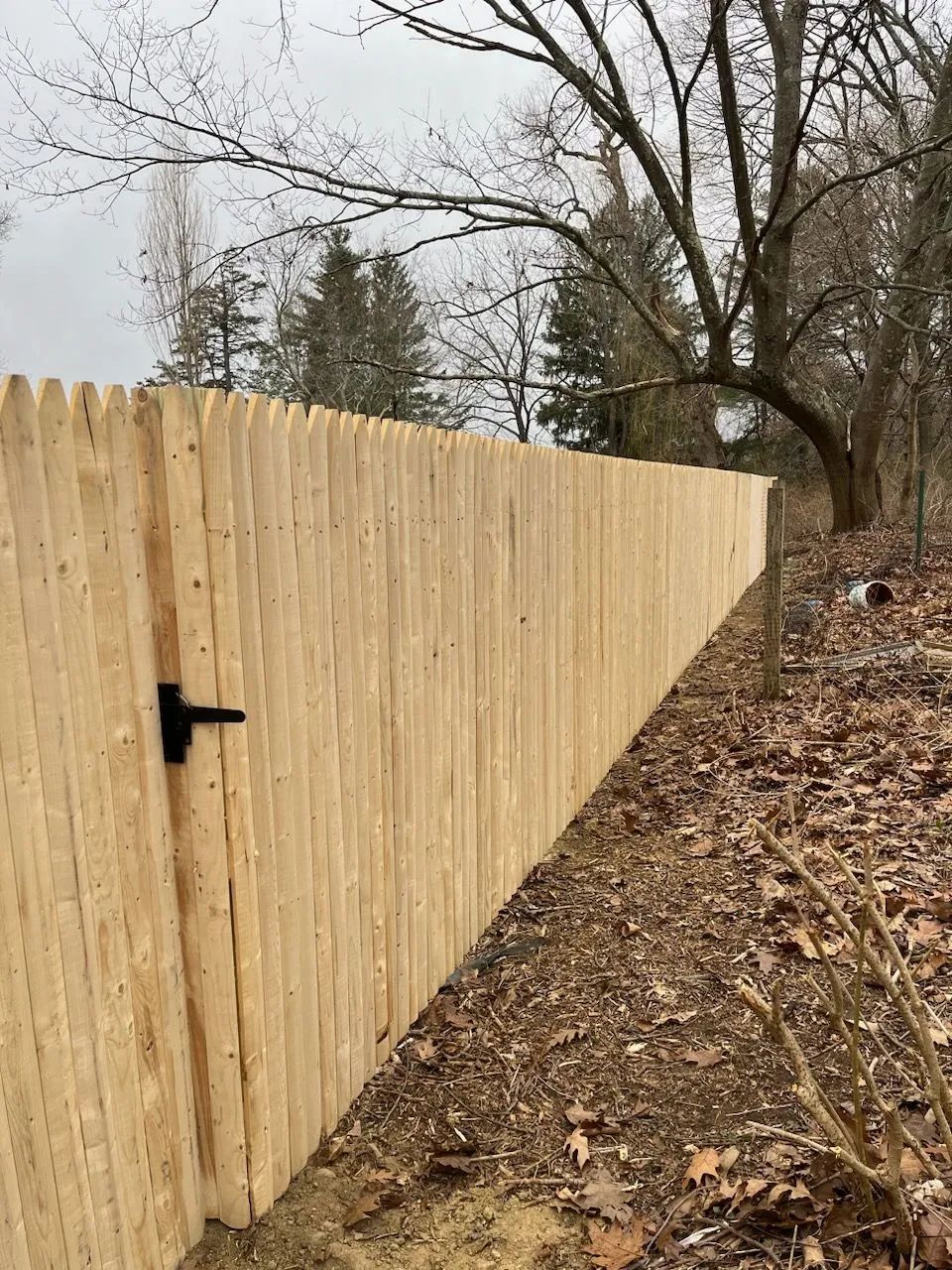 Tall wooden fence with a black gate latch along a leaf-covered wooded hillside