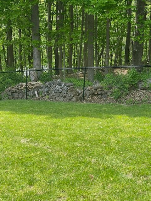 Grassy yard with stone border and black fence in front of a wooded forest backdrop