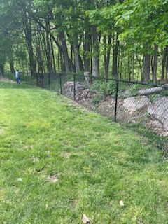 Grassy yard beside a black wire fence and wooded area, with a person in blue in the distance