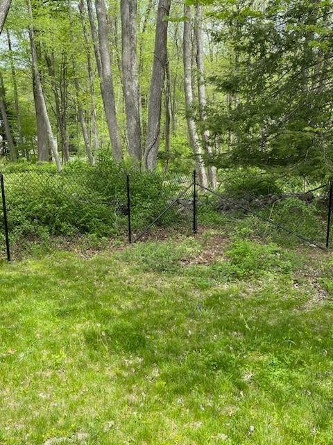 Green grassy yard beside a wooded area with tall trees and a black wire fence