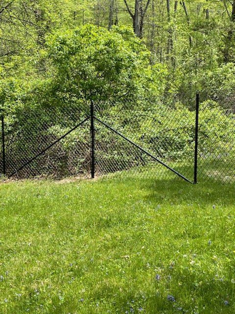 Black chain-link gate in a grassy yard with dense green trees in the background