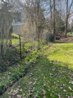 Grassy yard with trees, a fence, and a narrow path in a sunny outdoor setting
