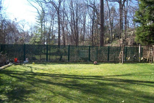 Backyard lawn with a green fence, leafless trees, and a wooden ladder on the right