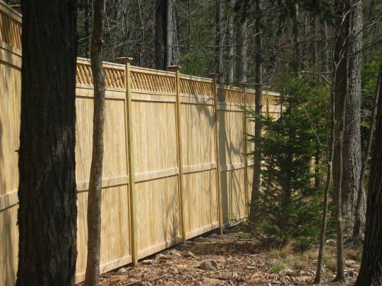 Wooden privacy fence along a wooded forest path, with tall trees and sparse undergrowth.