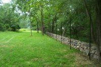 Grassy park with trees and a low stone wall along the right side